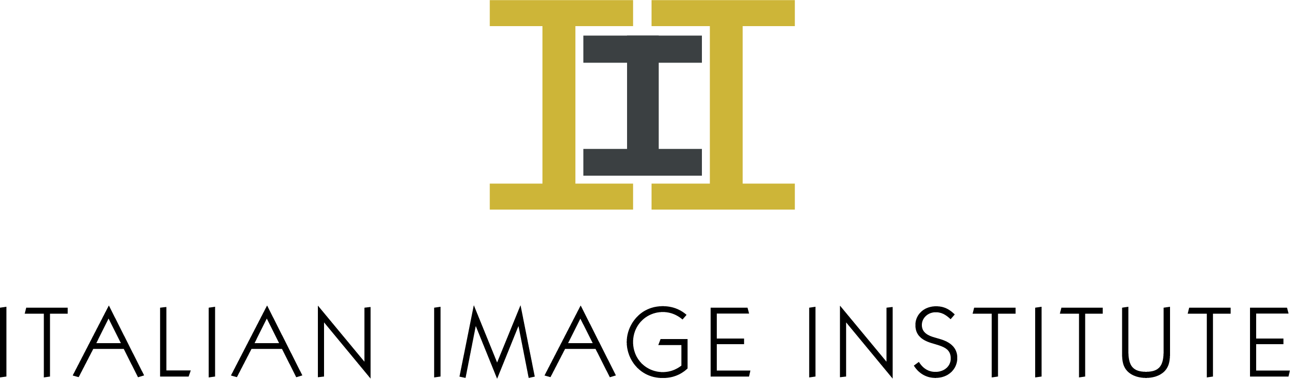 logo-sfondo-Italian-Image-Institute-1